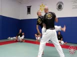 Ribeiro Self Defense Series 4 - Round House Kick Defense to Takedown